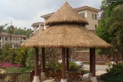 仿真茅草與自然茅草相有哪些優(yōu)勢(shì)呢？